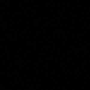 Meet your Posher, Shaun